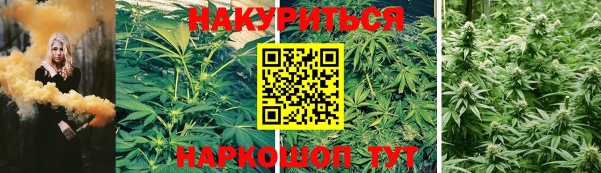 Бошки марихуана конопля  Шишки марихуана сатива  Марихуана семена  Вход с VPN  Канаш 